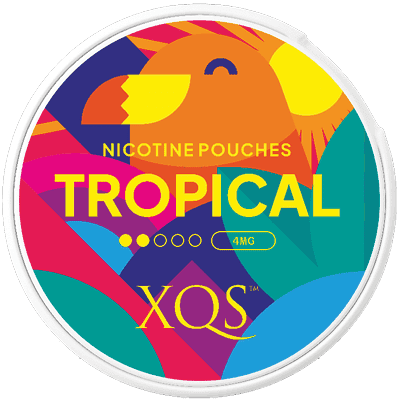 XQS Tropical Light 1 XQS Tropical Light