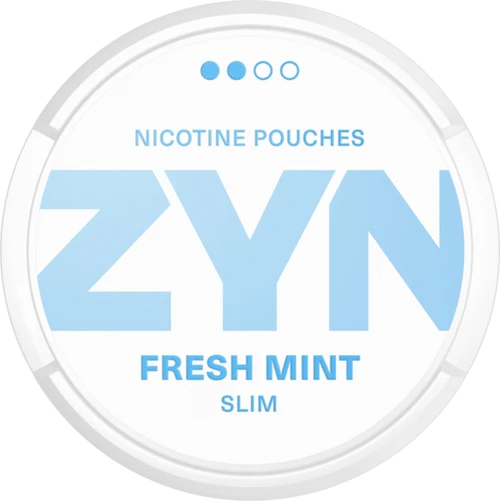 ZYN Cool Mint 6mg 2 zyn fresh mint